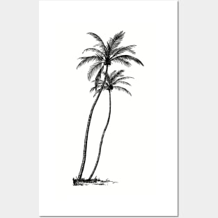 Palm Trees Posters and Art